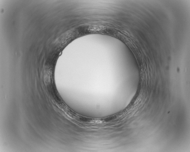 X0000060800227200511101427