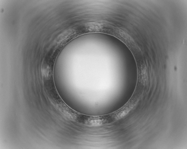 X0000060800228200511101427