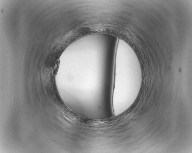 X0000060800229200511101427