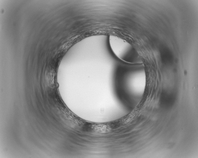 X0000060800230200511101427