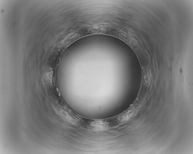 X0000060800231200511101427