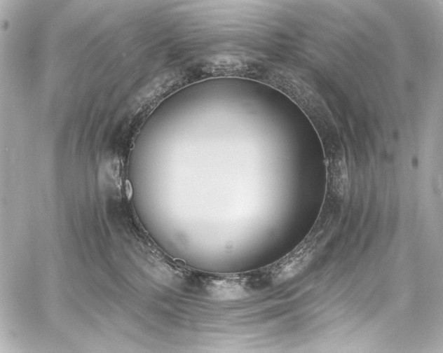 X0000060800232200511101427