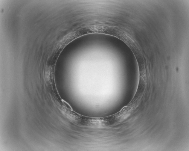 X0000060800233200511101427