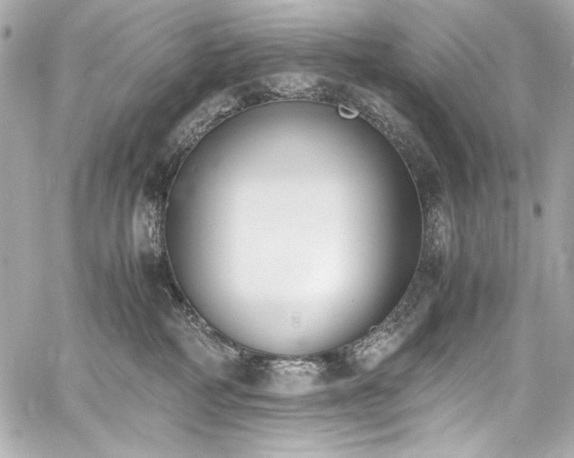 X0000060800234200511101427