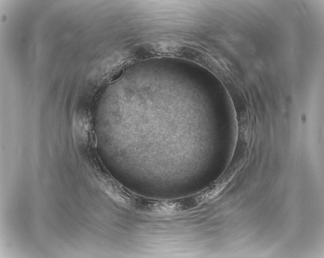 X0000060800235200511101427