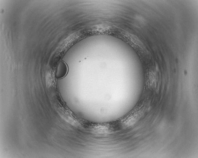 X0000060800236200511101427