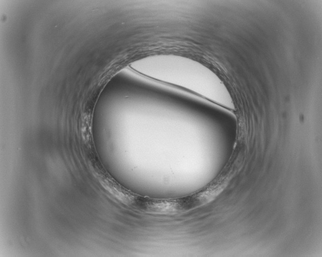 X0000060800237200511101427