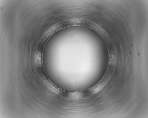 X0000060800238200511101427