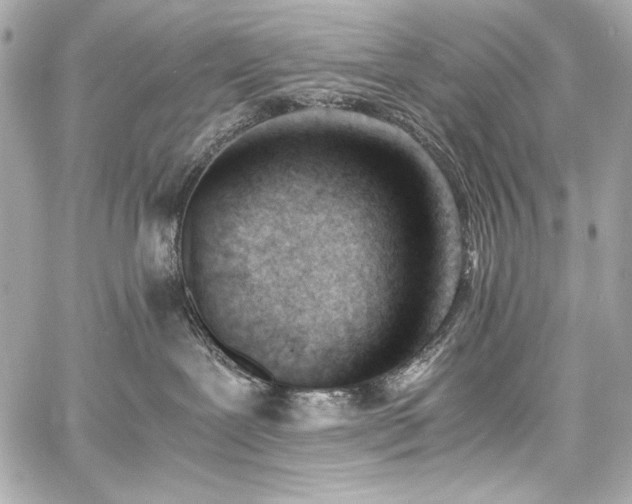 X0000060800239200511101427