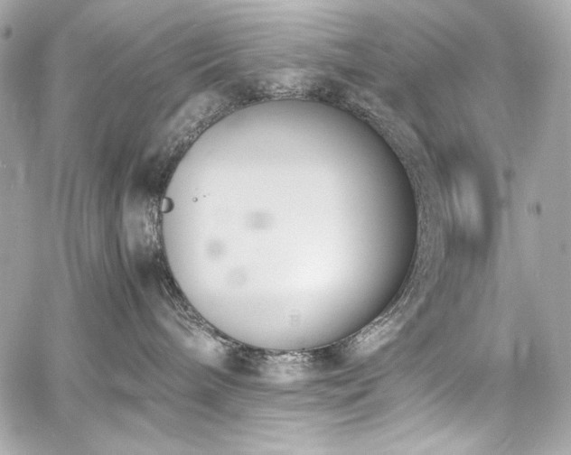 X0000060800240200511101427