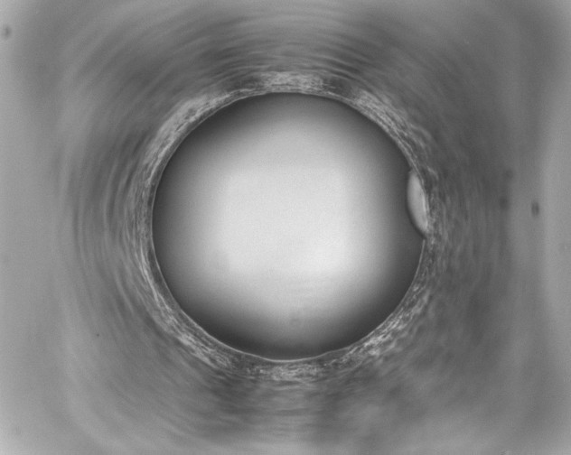 X0000060800241200511101426