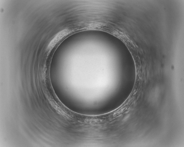 X0000060800242200511101426