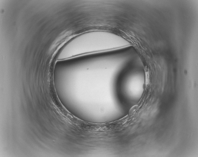 X0000060800243200511101426