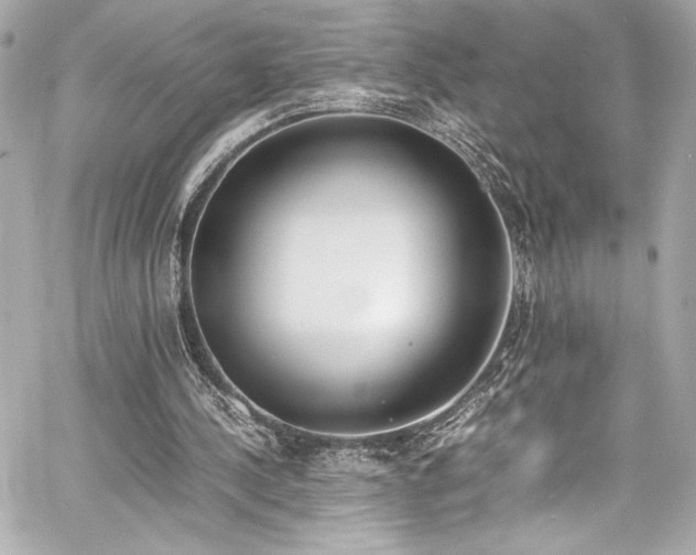 X0000060800244200511101426