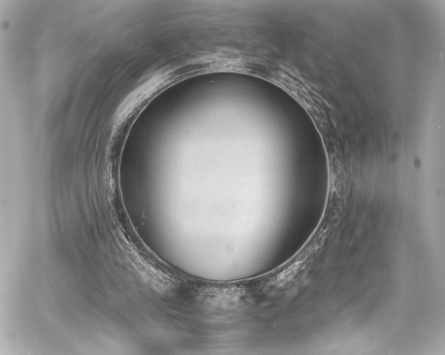 X0000060800245200511101426