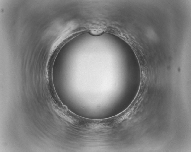 X0000060800246200511101426