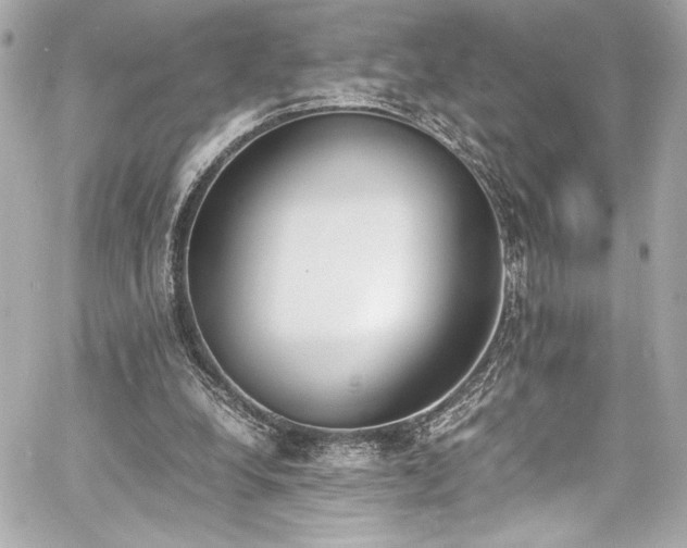 X0000060800248200511101426