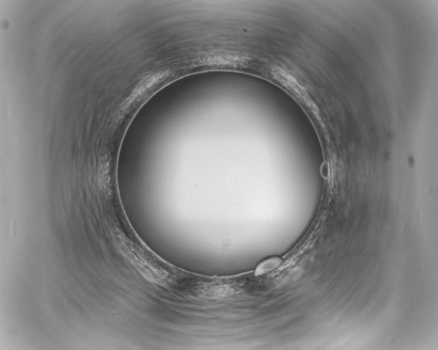 X0000060800249200511101426