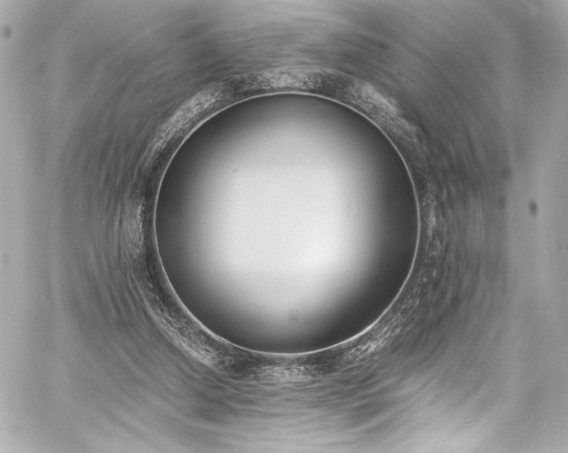 X0000060800250200511101426