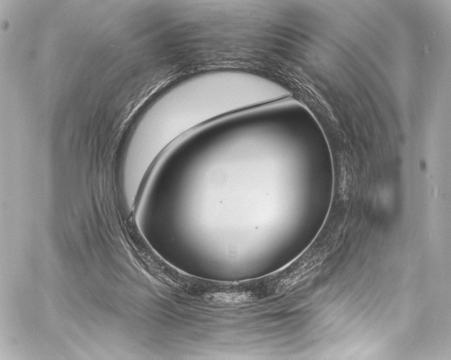 X0000060800251200511101426