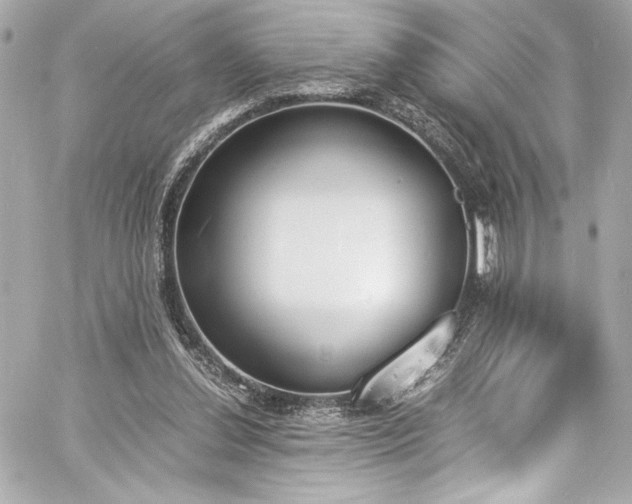 X0000060800252200511101426