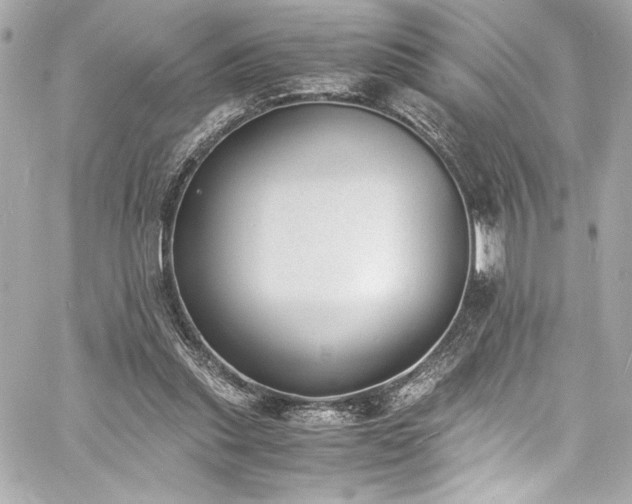 X0000060800253200511101426