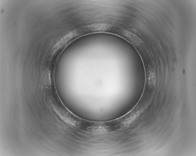 X0000060800254200511101426