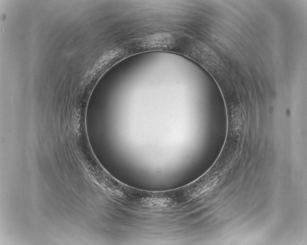 X0000060800255200511101426