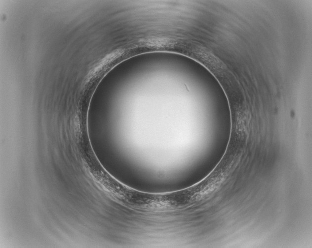 X0000060800256200511101426