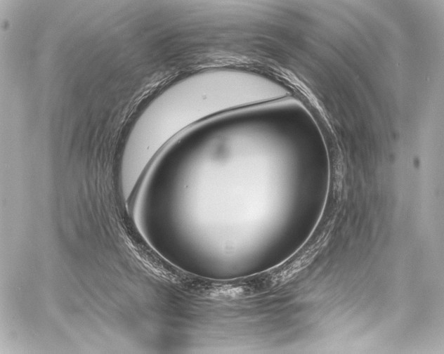 X0000060800257200511101426