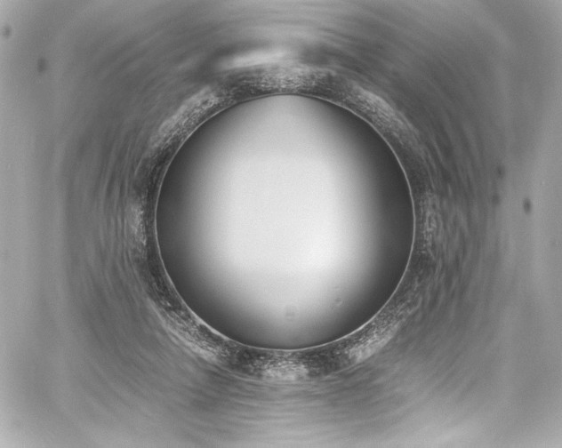 X0000060800258200511101426