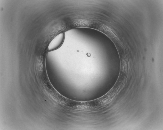 X0000060800259200511101426