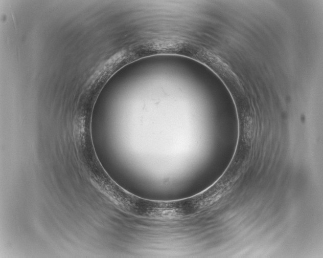 X0000060800260200511101426