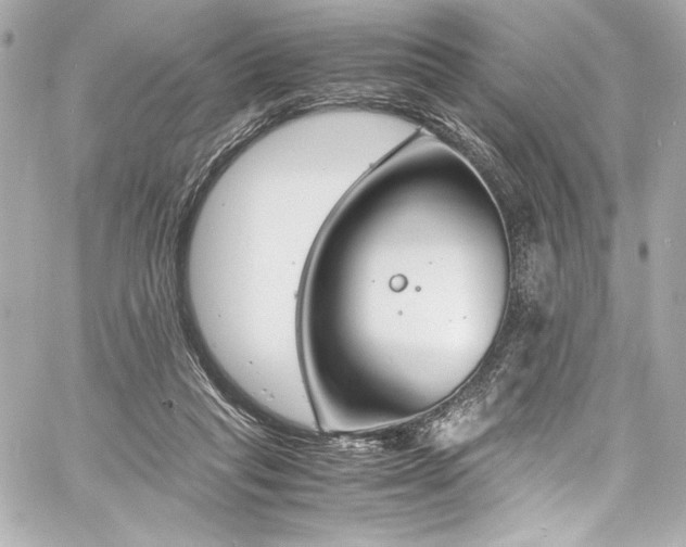 X0000060800261200511101427