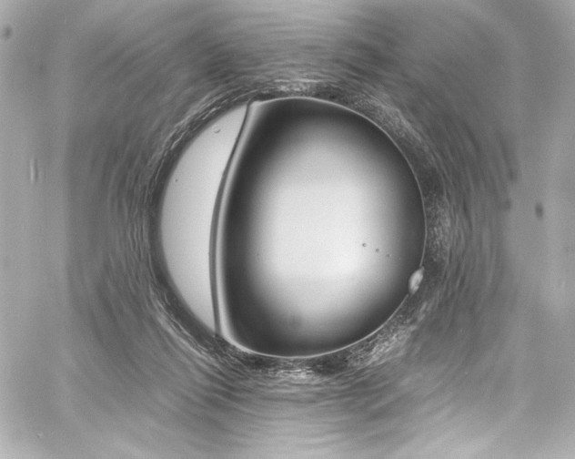 X0000060800262200511101427