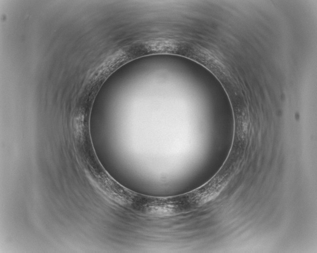 X0000060800263200511101427