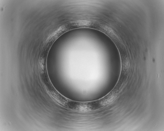 X0000060800264200511101427