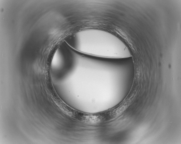 X0000060800265200511101427