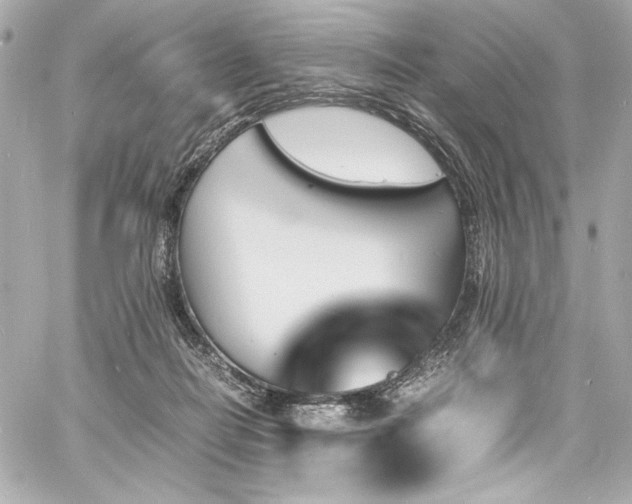 X0000060800266200511101427