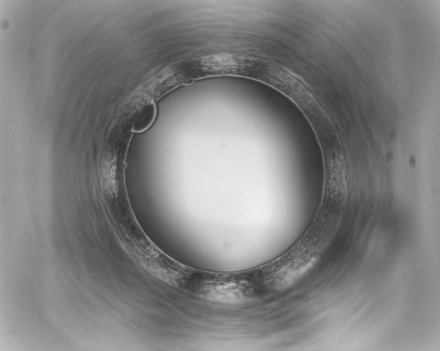 X0000060800267200511101427