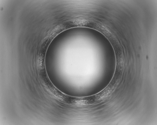 X0000060800268200511101427