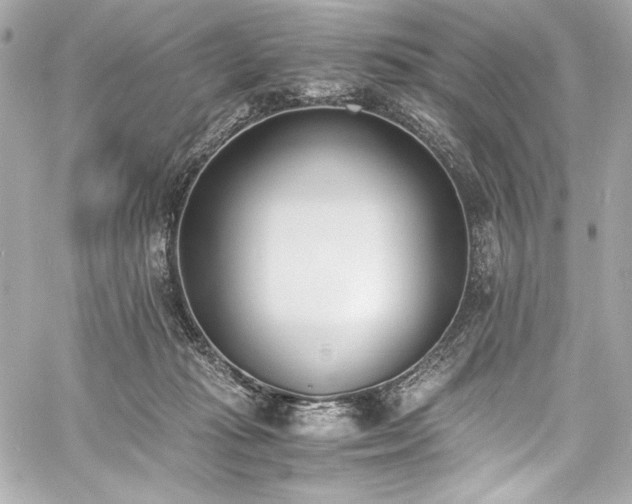 X0000060800269200511101427