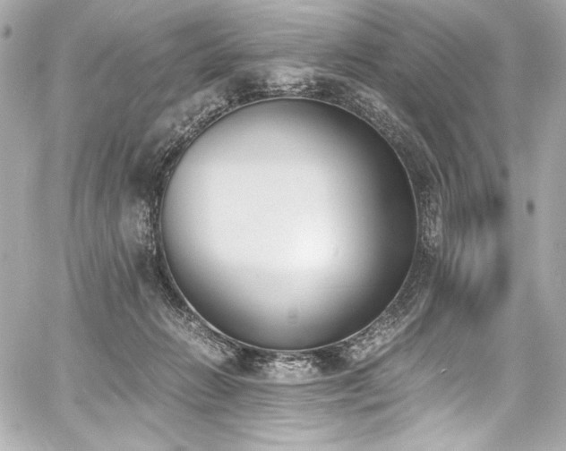 X0000060800270200511101427