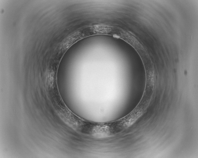 X0000060800271200511101427