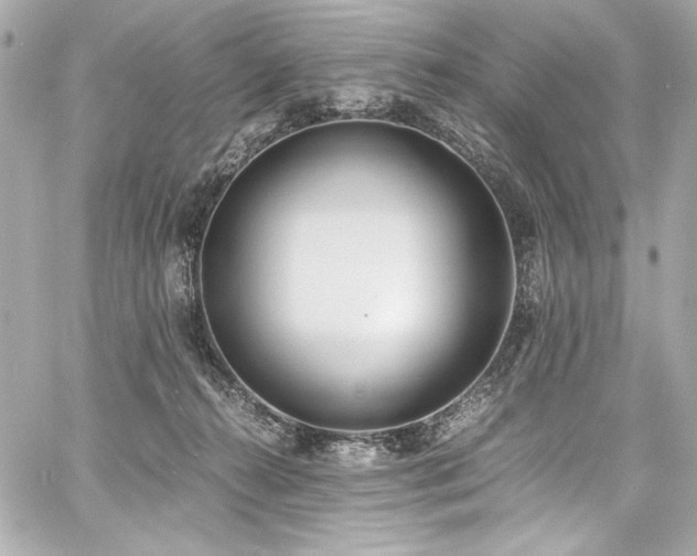 X0000060800272200511101427