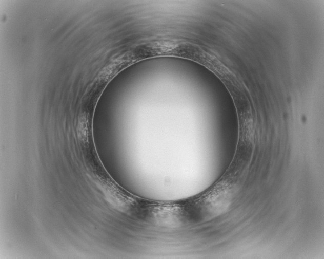 X0000060800274200511101427