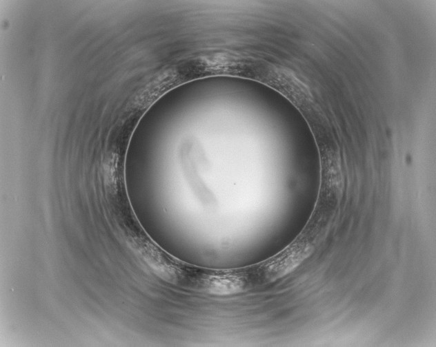 X0000060800275200511101427