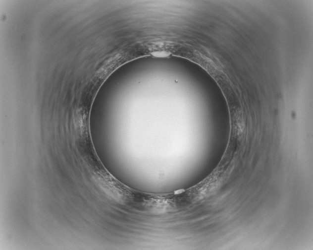 X0000060800276200511101427