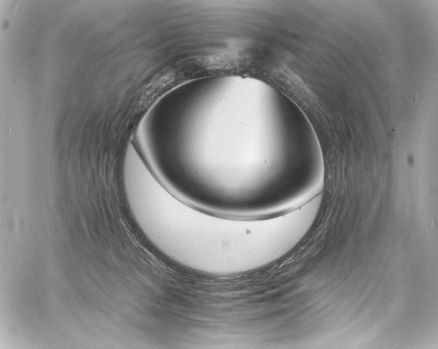 X0000060800277200511101427