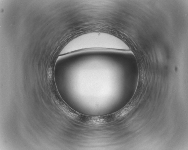 X0000060800278200511101427